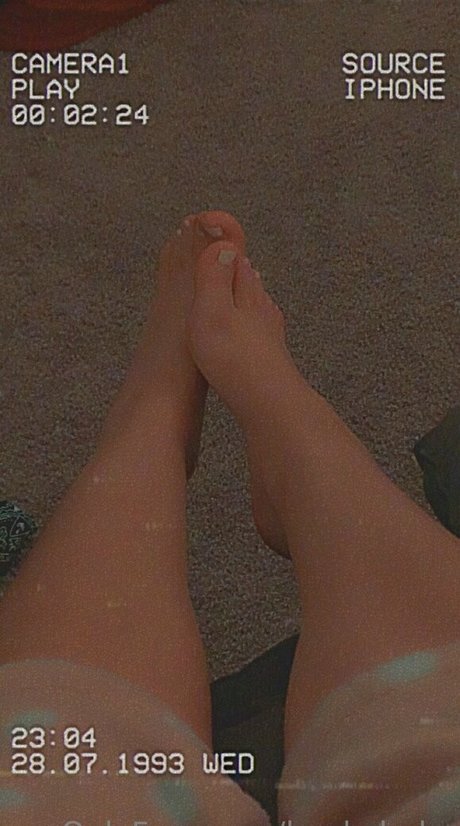 lambchubs beste hd bild