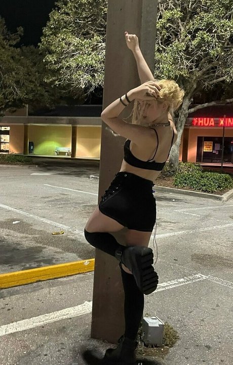 brycesgfalice top akt archiv