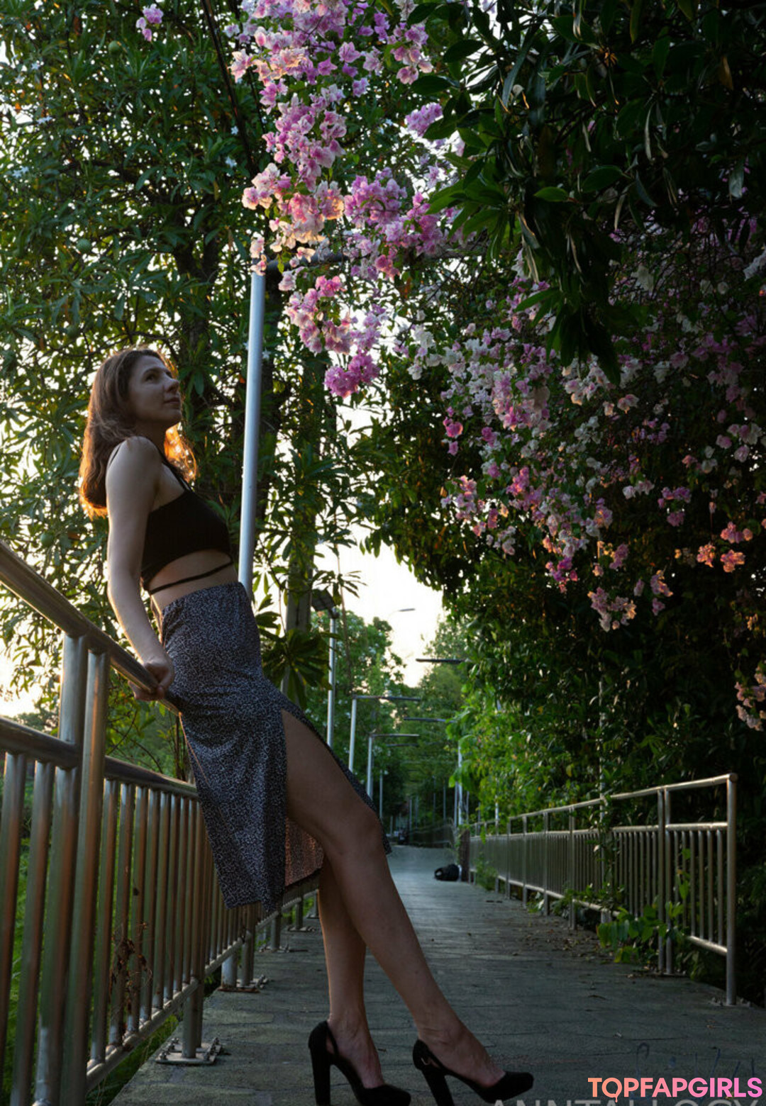 anntallogy freie hübsche archiv