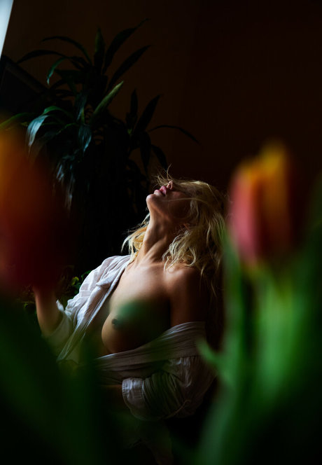 Ivy Wolfe exklusive schöne galerie