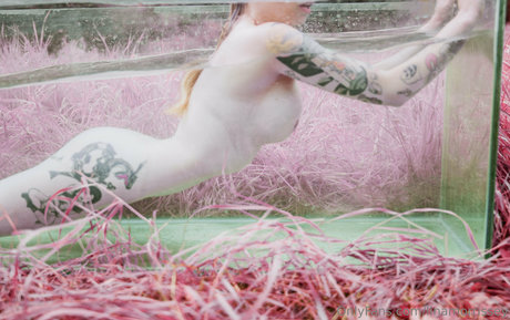 gothic-prinzessin nur fans nette galerie