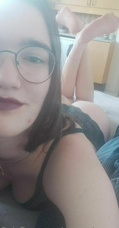 zdgx chessman top perfekte galerien