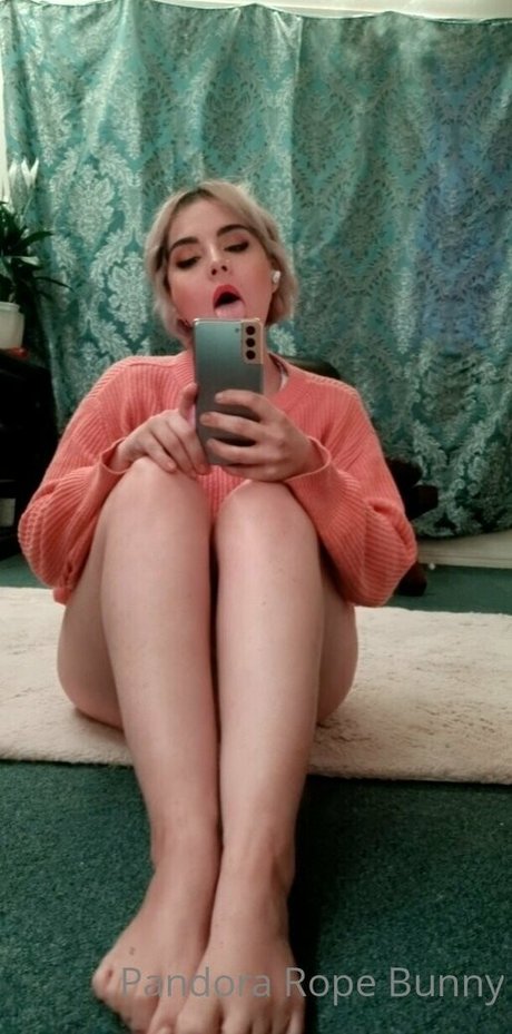 pandorabunny kunst top foto