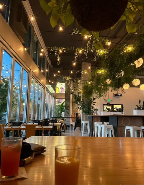 ivypearl42069 Bilder