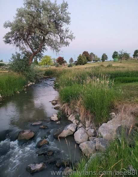 bee88i hübsche pornografische foto