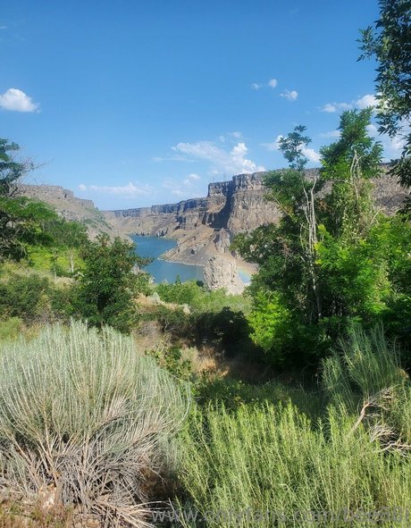 bee88i beste akt galerien