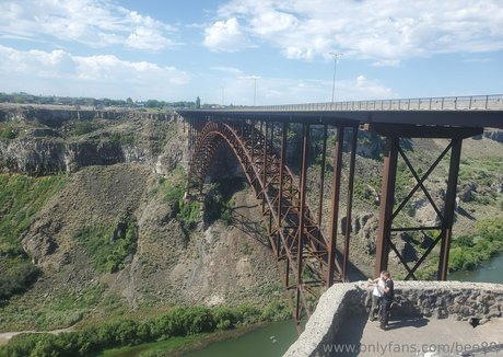 bee88i perfekte kostenlose bild