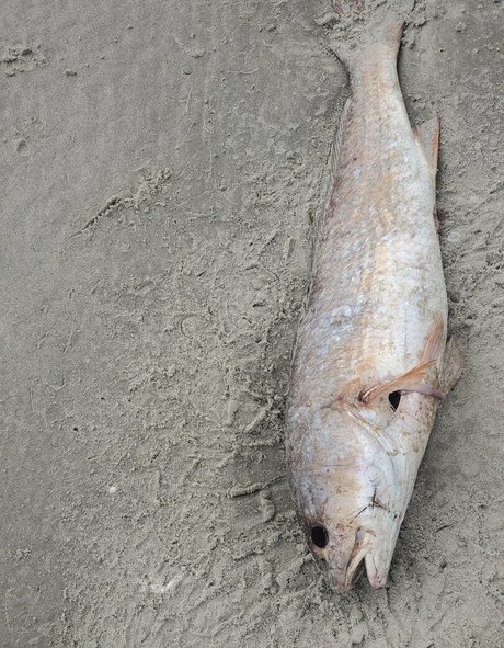 schwulensauna nur fans sexy xxx bild