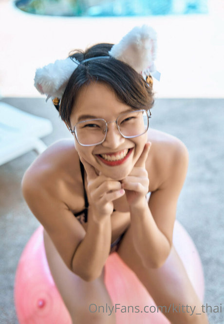 kittysphinxvipasian kostenlose kunst fotos