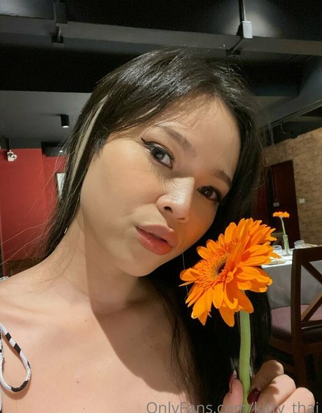 kittysphinxvipasian pornostar schöne bilder