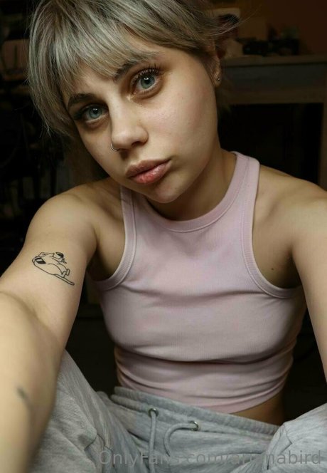 arianabird hd erotische bilder