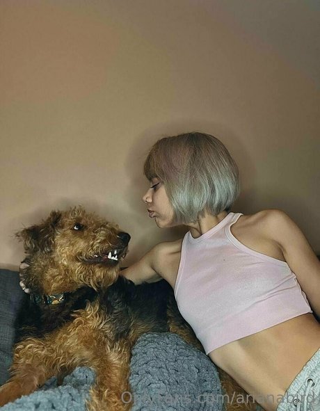 arianabird Profilbild