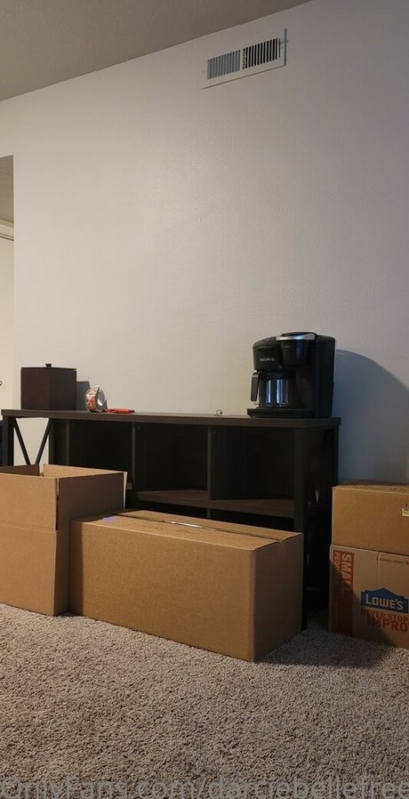 darciebellefree nacktheit pornographische bilder