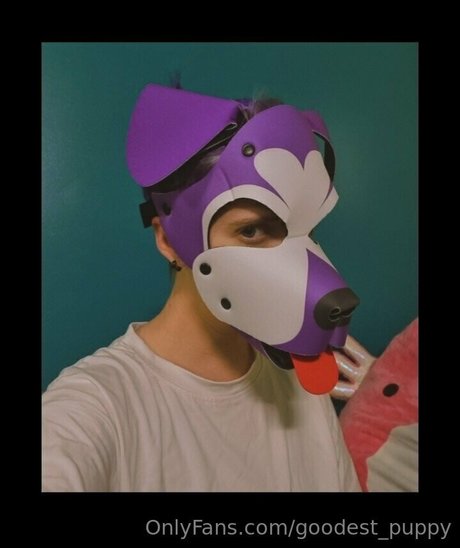 goodest puppy nacktheit pornografische foto