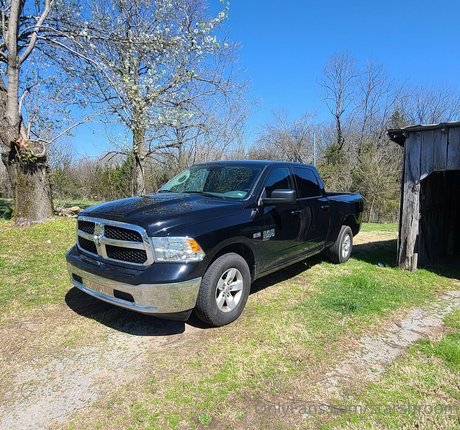 starshroom xxx freie galerie