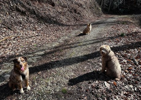 muschifick nur fans perfekte foto