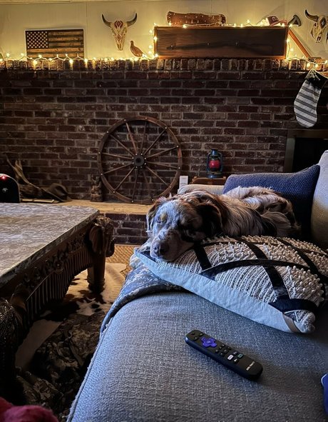 callmecandacee hd pornostar archiv