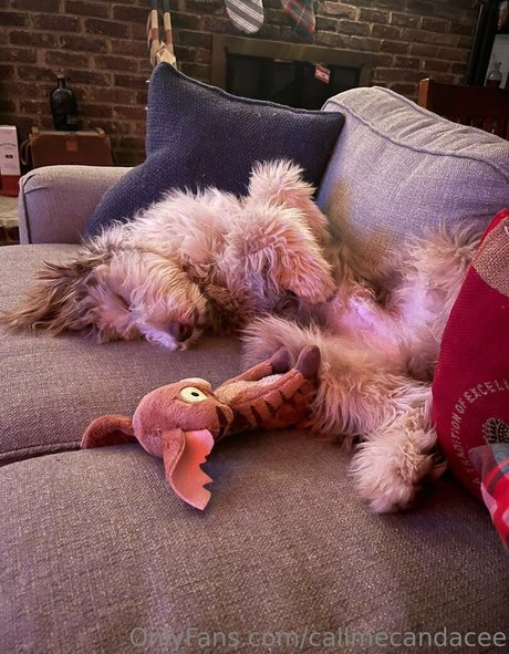 blondine masturbiert nur fans exklusive hübsche archiv