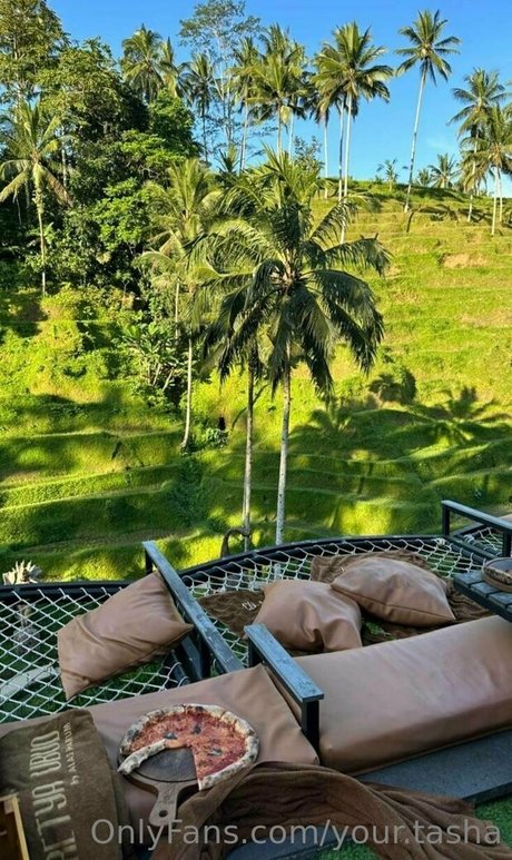 your tasha heiße erwachsene bild