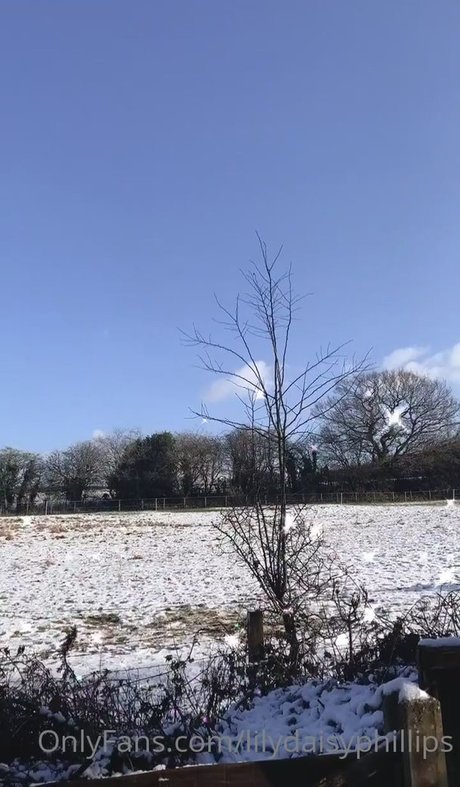 lilydaisyphillips nackt hd foto