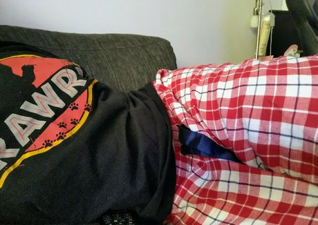 bybldek beste freie bild