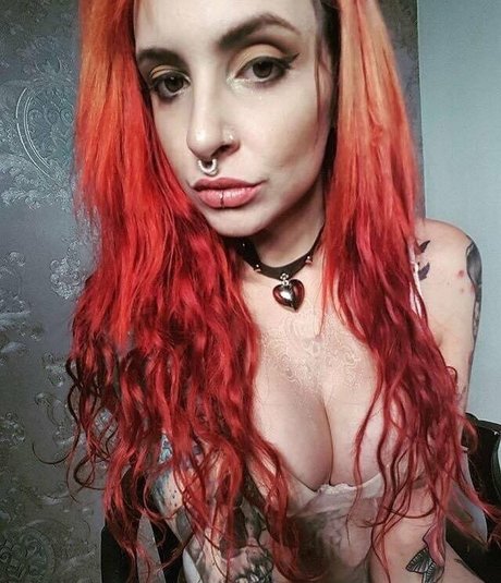 vanphell hd schöne galerien