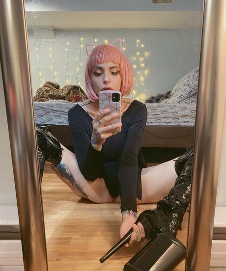 vanphell erwachsene freie bilder