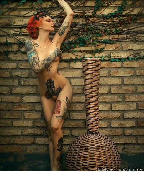 vanphell hd erwachsene bild