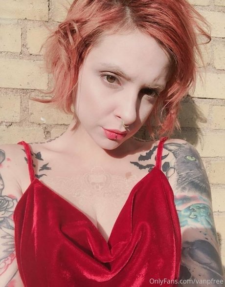 vanphell exklusive kostenlose galerie