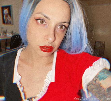 vanphell erotische akt galerie