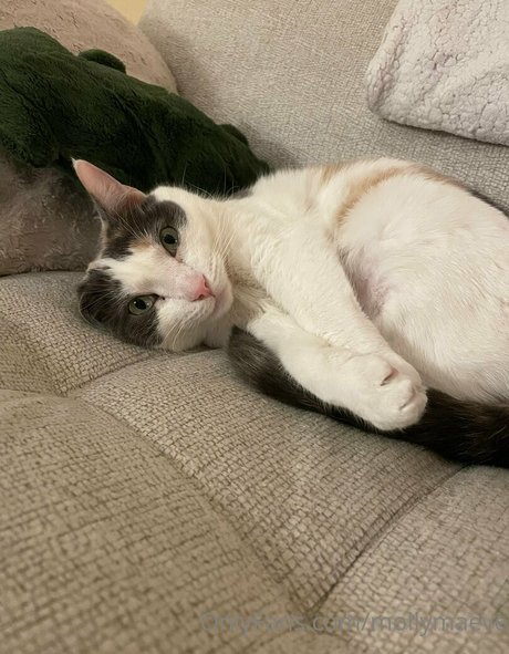 asiatische domina onlyfans kunst heiße bild