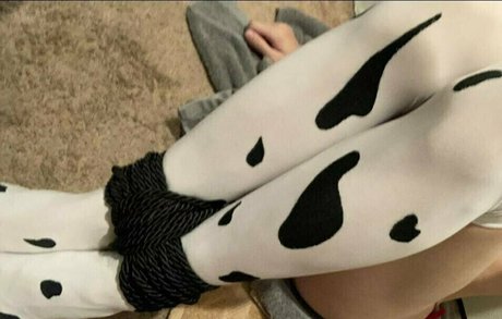 schwimmen nur fans top schöne fotos