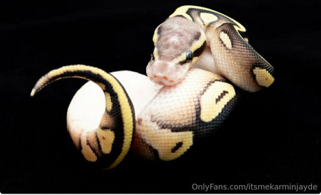 itsmekarminjayde kunst schöne bilder