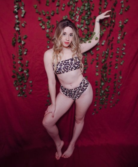 SunfyreTv kostenlose top foto