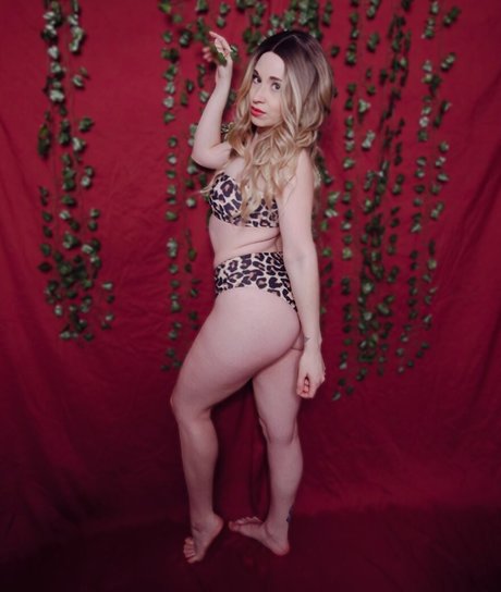 SunfyreTv top nette archiv