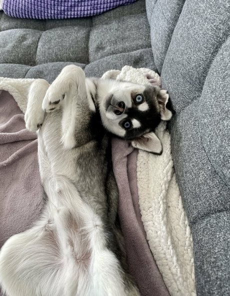 große titten reife onlyfans hd exklusive bilder