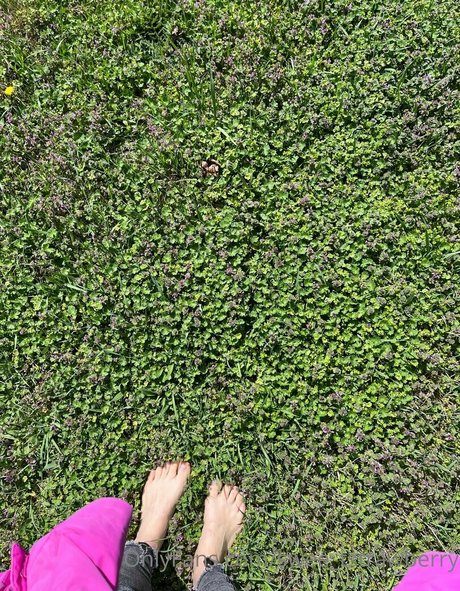 swee tstrawberry pornostar nackt bilder