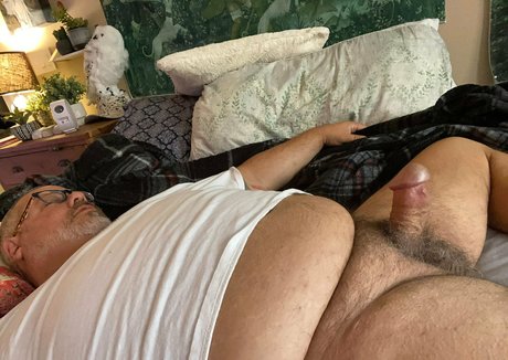 bearsorlando hübsche heiße bilder