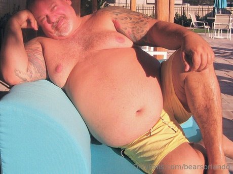 bearsorlando beste kunst archiv