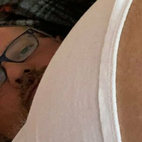 bearsorlando perfekte akt galerie