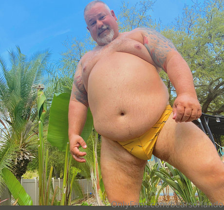 bearsorlando hübsche akt archiv