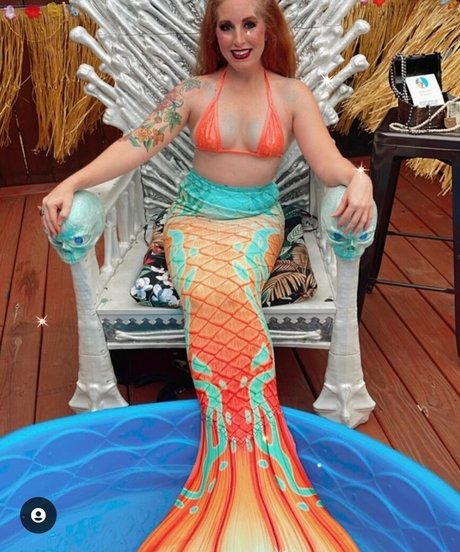 Rowanfox top exklusive bild