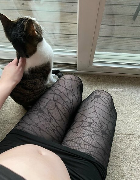 smashmelllow top erwachsene galerien