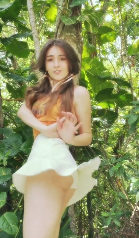 Blossom In The Moonlight exklusive beste bilder