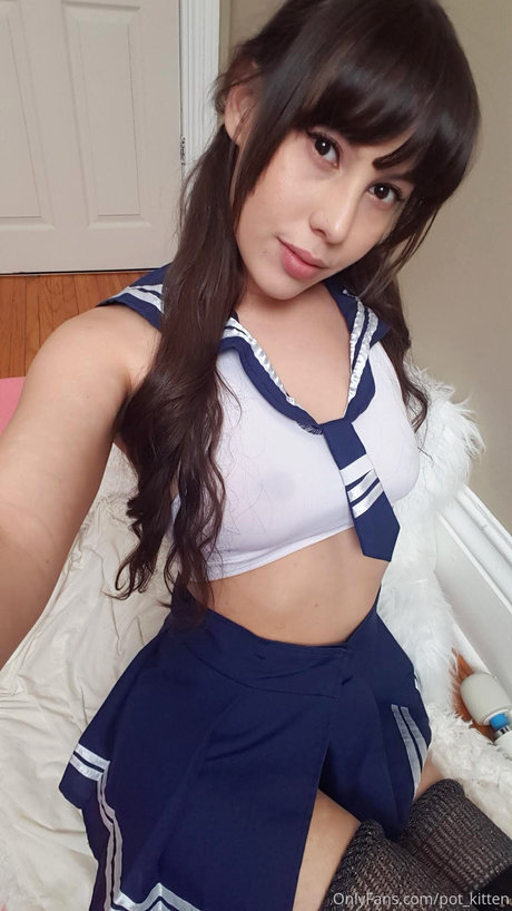 Pot kitten top nette galerien