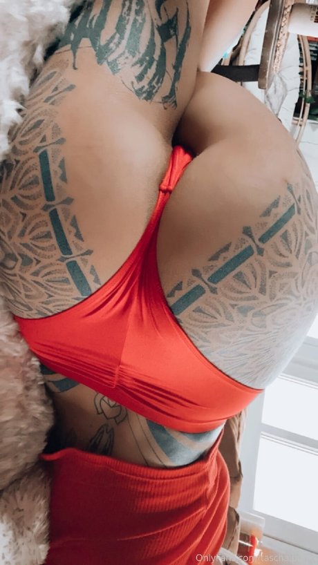 tascha punkt hd schöne bilder