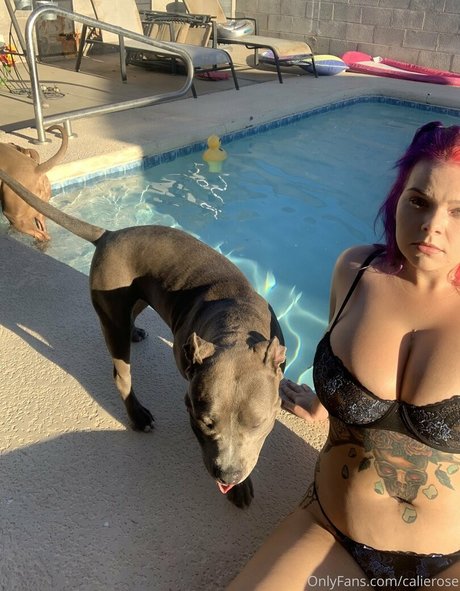 calierose erotische kunst archiv