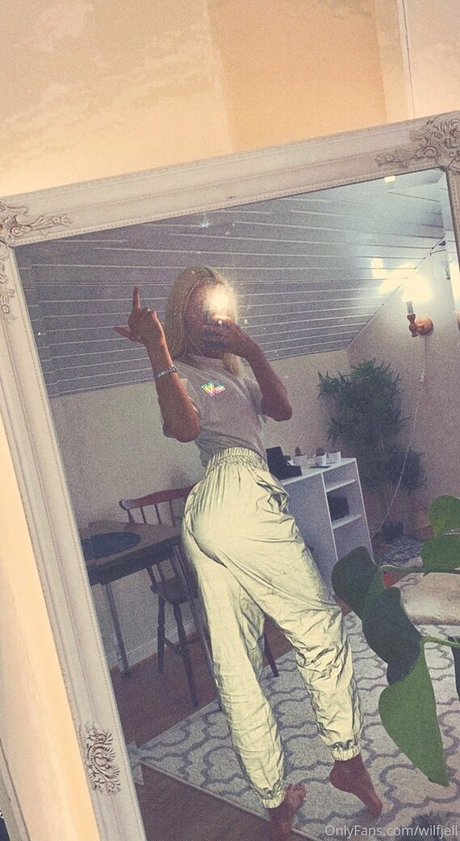 wilfjell top hübsche galerie