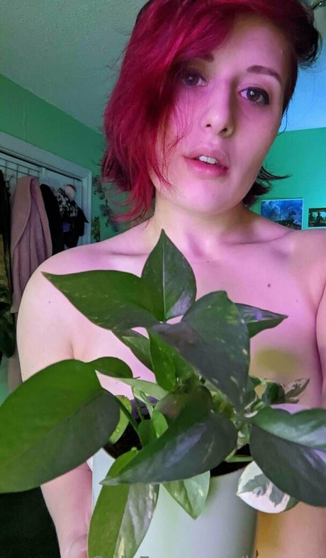 baeged top freie fotos