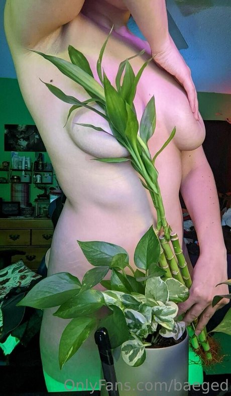 baeged erwachsene pornographische galerie